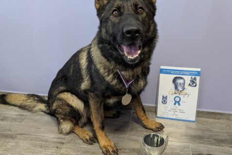 40. memoriál Cyrila Chvojky