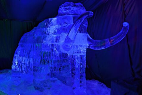 Po operaci na Podkozí a ledové sochy v Plzni